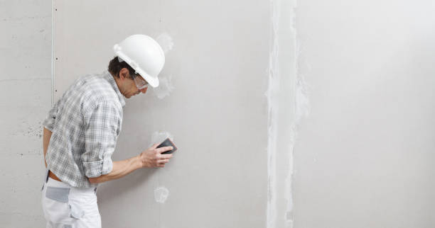Best Airborne Mold Testing  in Navasota, TX