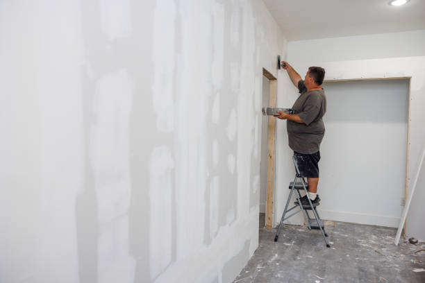 Best Mold Odor Removal Services  in Navasota, TX