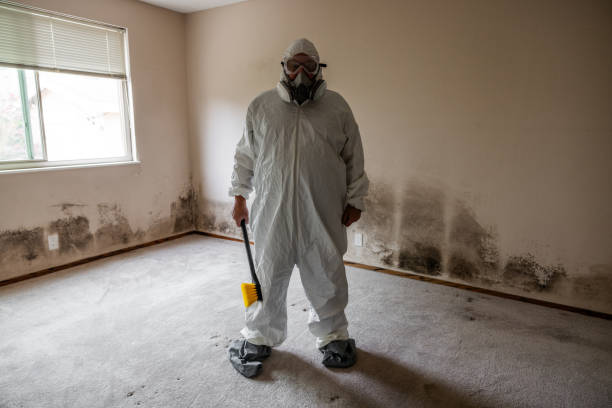 Asbestos and Lead Testing During Mold Inspection in Navasota, TX